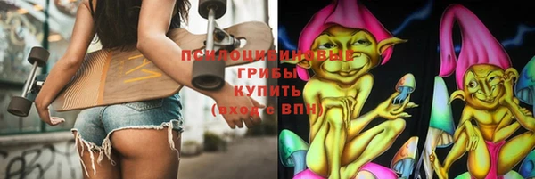 дживик Белоозёрский