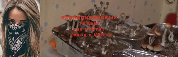 герыч Новозыбков