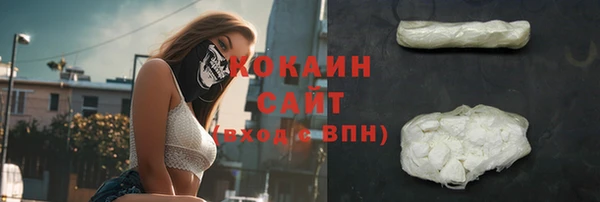 дживик Белоозёрский
